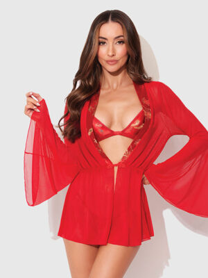 Dragon Sheer Mesh Robe w/Satin Triangle Top & G-String 3 pc Set - Red SM