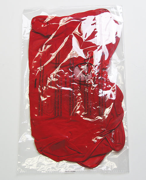 Dragon Mesh & Applique Chemise w/G-String 2 pc Set - Red XL - Image 5