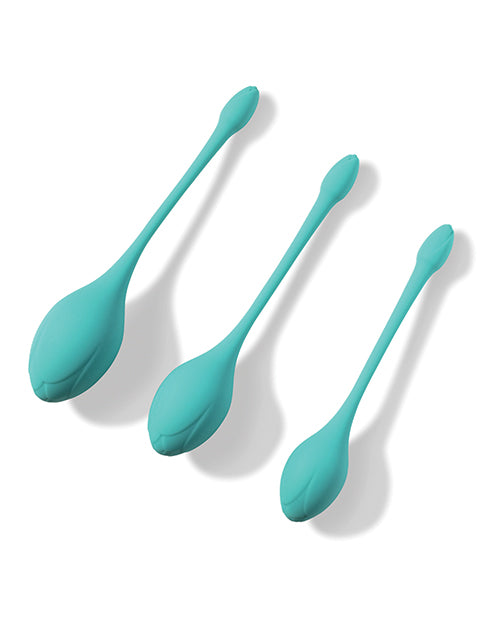 Bluebell Floral 3 Size & Weight Kegel Ball Exercise Set – Blue