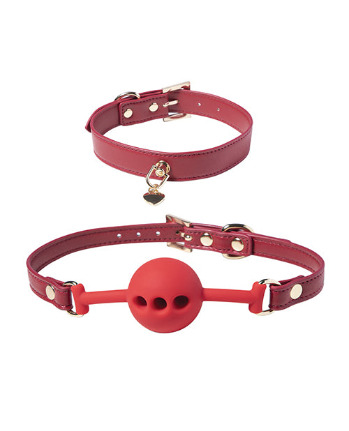 Kinky Play Box Red Passion 8 pc Set Bondage Kit – Red
