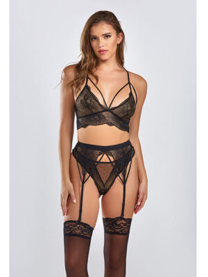 Everly Dot Mesh & Galloon Lace Strappy Bra, Garterbelt & Hipster Panty Black LG