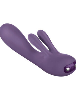 Je Joue FiFi 2 - Purple