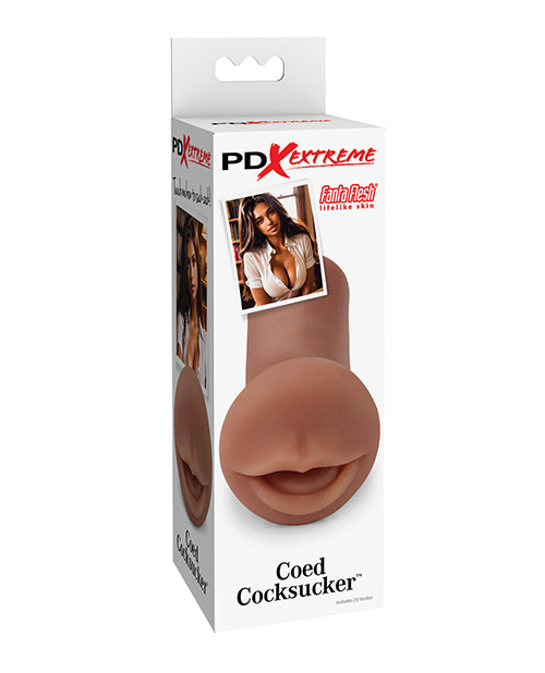 PDX Extreme Coed Cocksucker – Brown