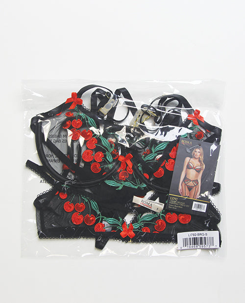 Cherry Delight Embroidered Lace and Mesh Underwire Bra w/Garter & G-String 3 pc Set - Black XL - Image 3