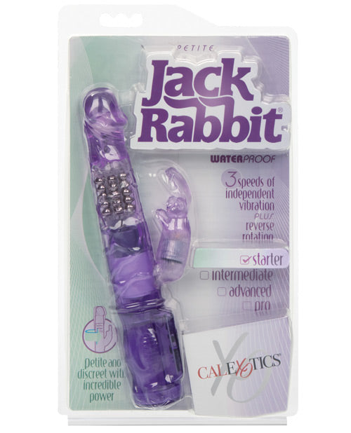 Jack Rabbit Petite – Purple
