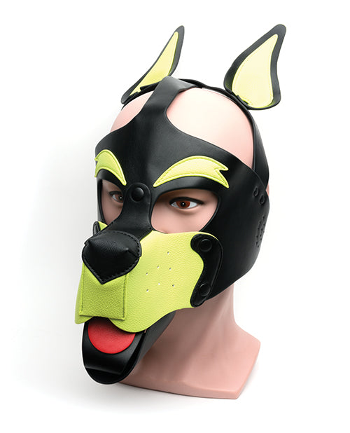 665 Playful Pup Hood – O/S Black/Yellow