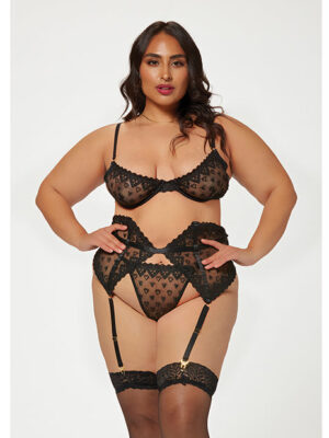 Valentines Heart Embroidered Mesh Bra, Waspie & Panty Black 3X/4X